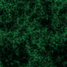 Green life