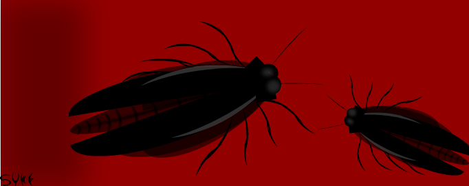 Roaches