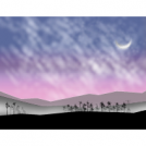 Distant Dreams