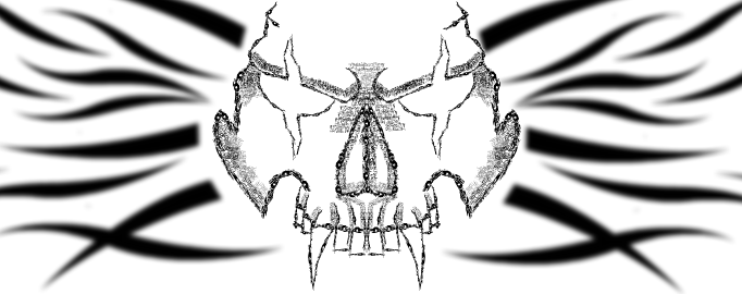 Skull Art: The Beast