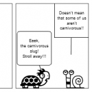 Maximus Snail