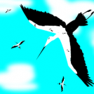 Zikoinak - Storks