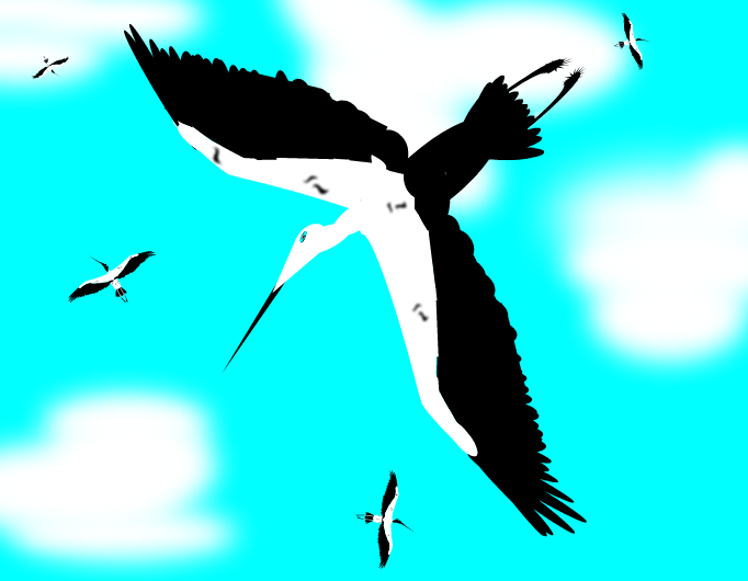 Zikoinak - Storks