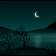 Nighttime contest entry