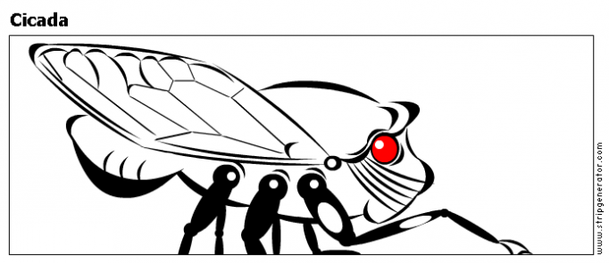 Cicada