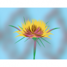 Thistle
