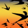 Swallows Flocking