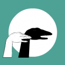 Shadow play - the goose
