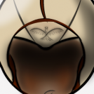 Hooded Head..