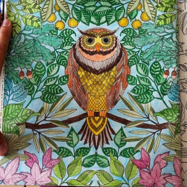 Secret garden coloring pages owl reading