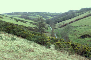 thornmead thornmead
