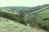Thornmead_6770_0_7790_0