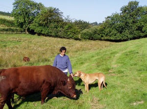 The farmer The farmer