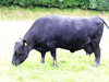Molly_6770_0_7790_0