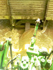 wet hay making