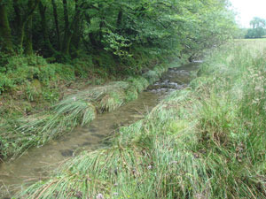 river_damage1