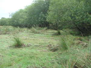 river_damage2