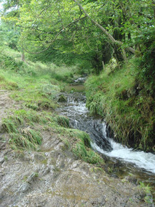 rivernormal