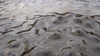 Dsc02100_6770_0_7790_0