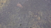 Dsc02108_6770_0_7790_0
