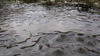 Dsc02101_6770_0_7790_0