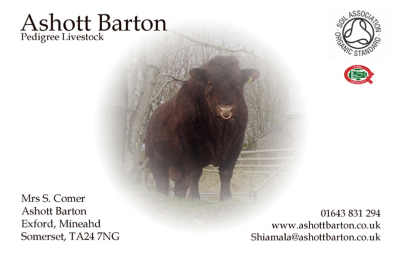 Ashott b_card