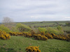 Dsc00489