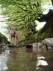 Tiano in River