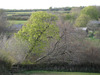Leaning Tree of AB