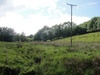 Barton_fields