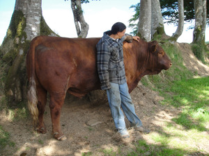 Gentle Giant
