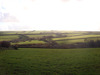 A_grass_farm