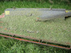 Insects_on_topper