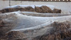 Silk_covered_dung