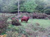 P6020158