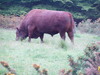 P6020159