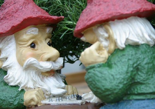 garden gnomes playing chess