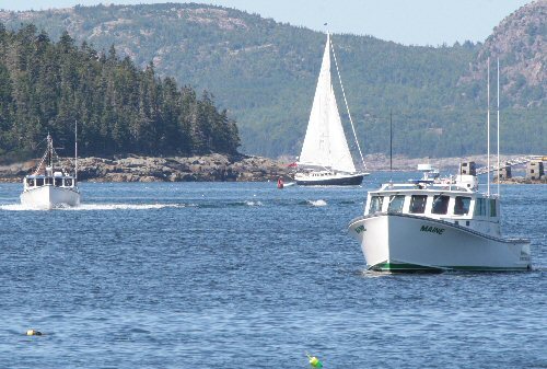 Maine Coast