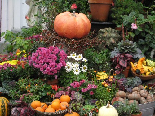 an autumn bouty