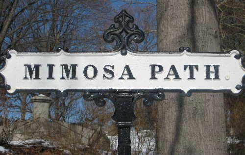 Mimosa Path