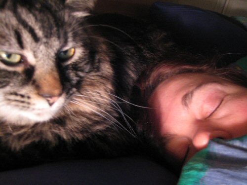 Pillow Sharing