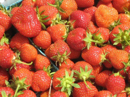 Strawwberry Fields Forever