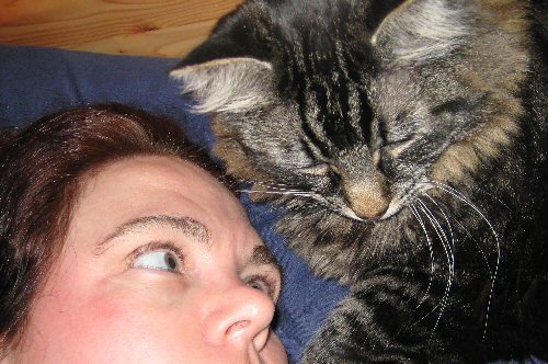 Close Encounters of the Sedgwick Kind