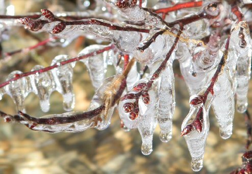 frozen drops