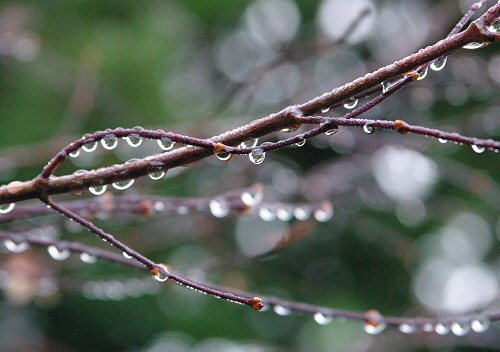 raindrops