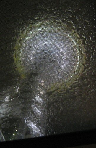 Wet Space Needle