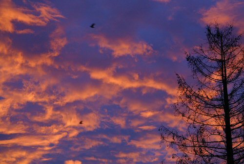 December Sunrise