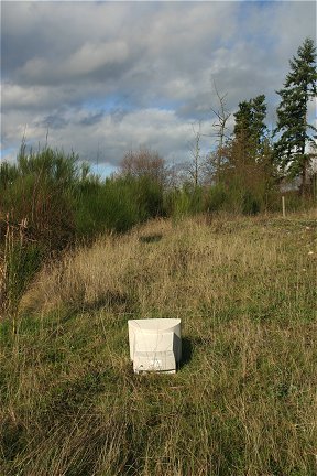 Monitor in a field