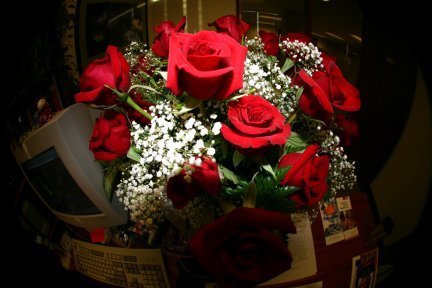 Red, red roses