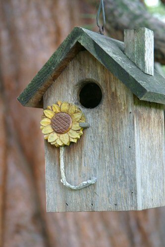birdhouse